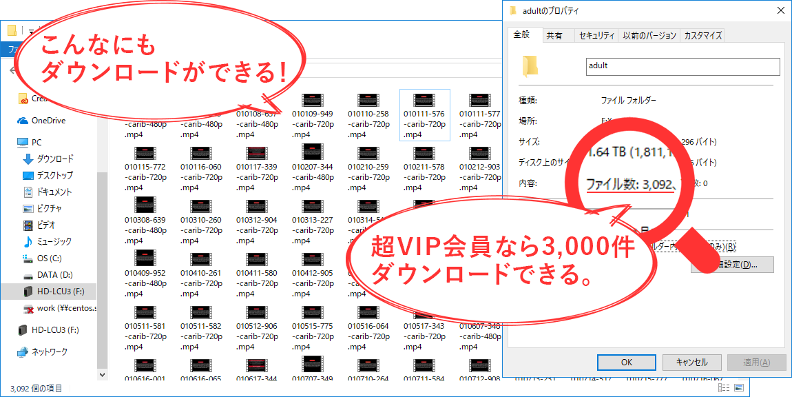 入会すれば動画が大量に手に入る